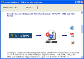 TRichView with eDocEngine Demo