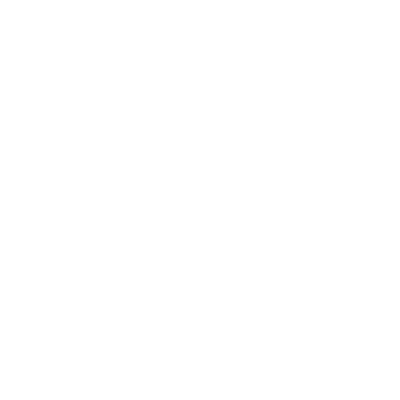 Language icon