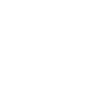 Printing icon
