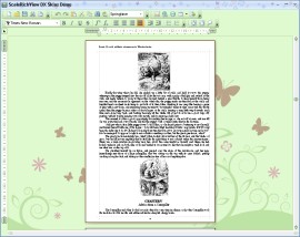 WYSIWYG editor using skins